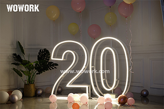 Metal frame Neon light number-20-1m